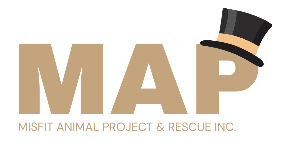 MAP logo