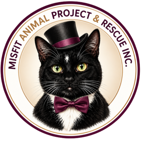 Mayor Tuxie of the Misfit Animal Project